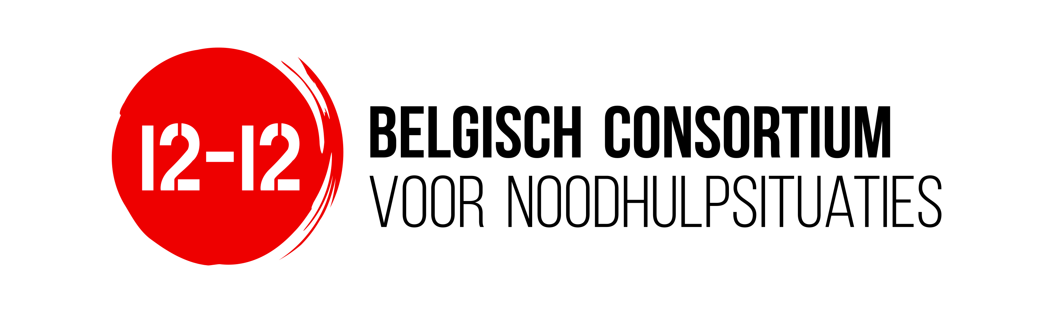 customer-logo-B12